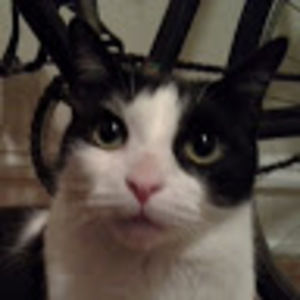 Meet your Posher, Adam